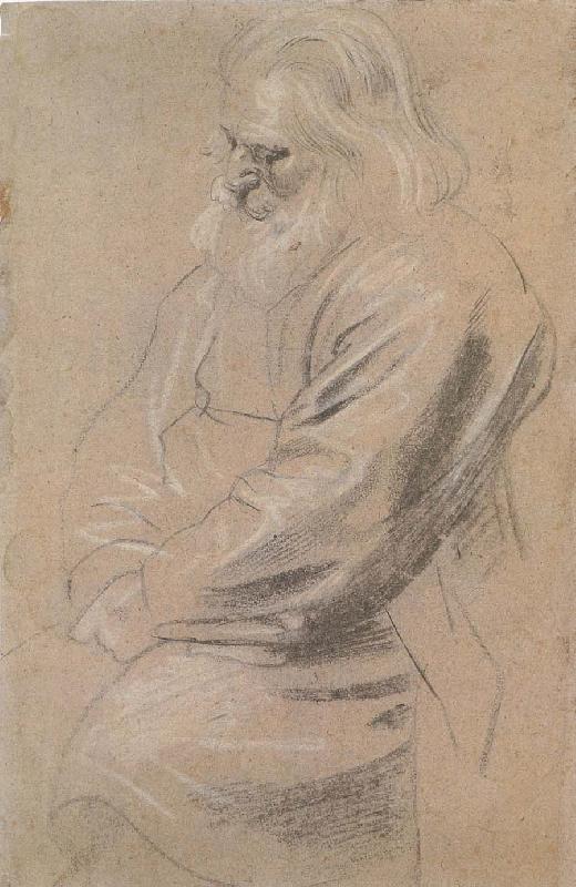 Peter Paul Rubens Sitting  old man oil painting picture